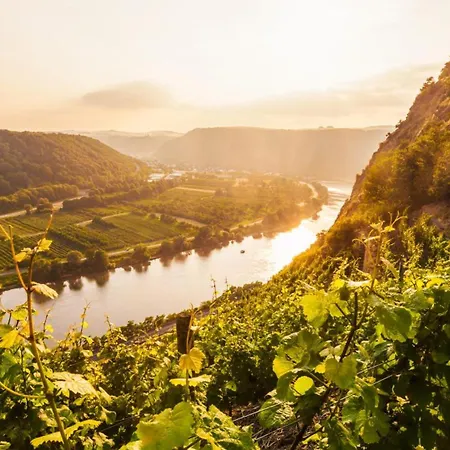Dom wakacyjny Mosel-herz *