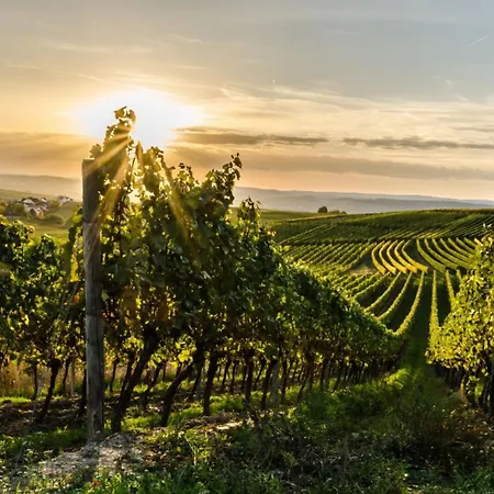 Mosel-herz *
