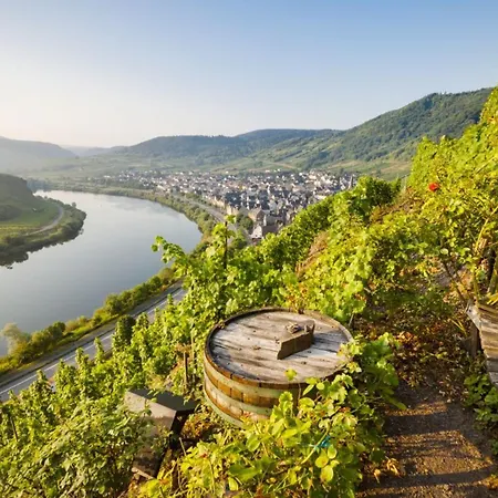Dom wakacyjny Mosel-herz Trewir