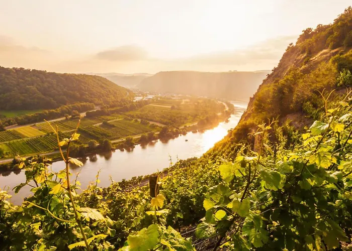 Hébergement de vacances Mosel-herz *